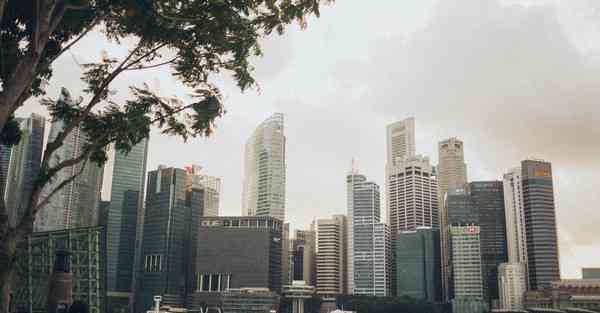 怎么简单的制作宣传片_怎么简单的制作纸风车