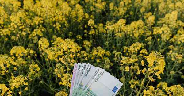 企业宣传片拍摄公司介绍_企业宣传片拍摄公司推荐