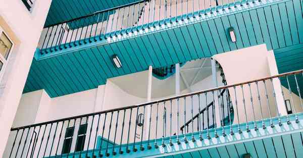 制作毛核老虎宣传片